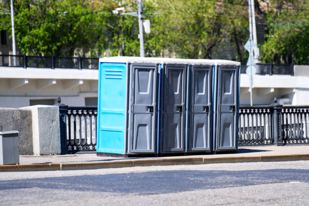 Best Porta potty rental for festivals  in Coloma, MI